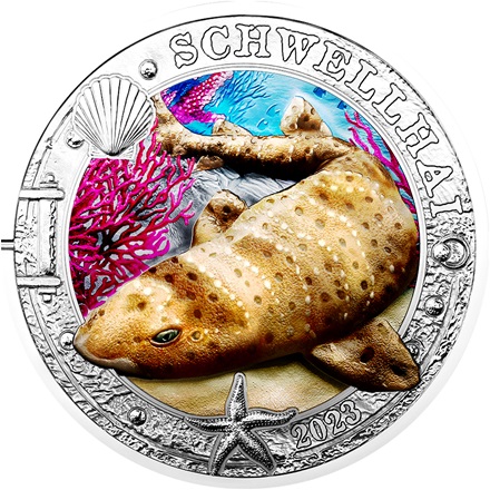 CuNi Leuchtende Meereswelten "Schwellhai" 3 EUR UN - 2023